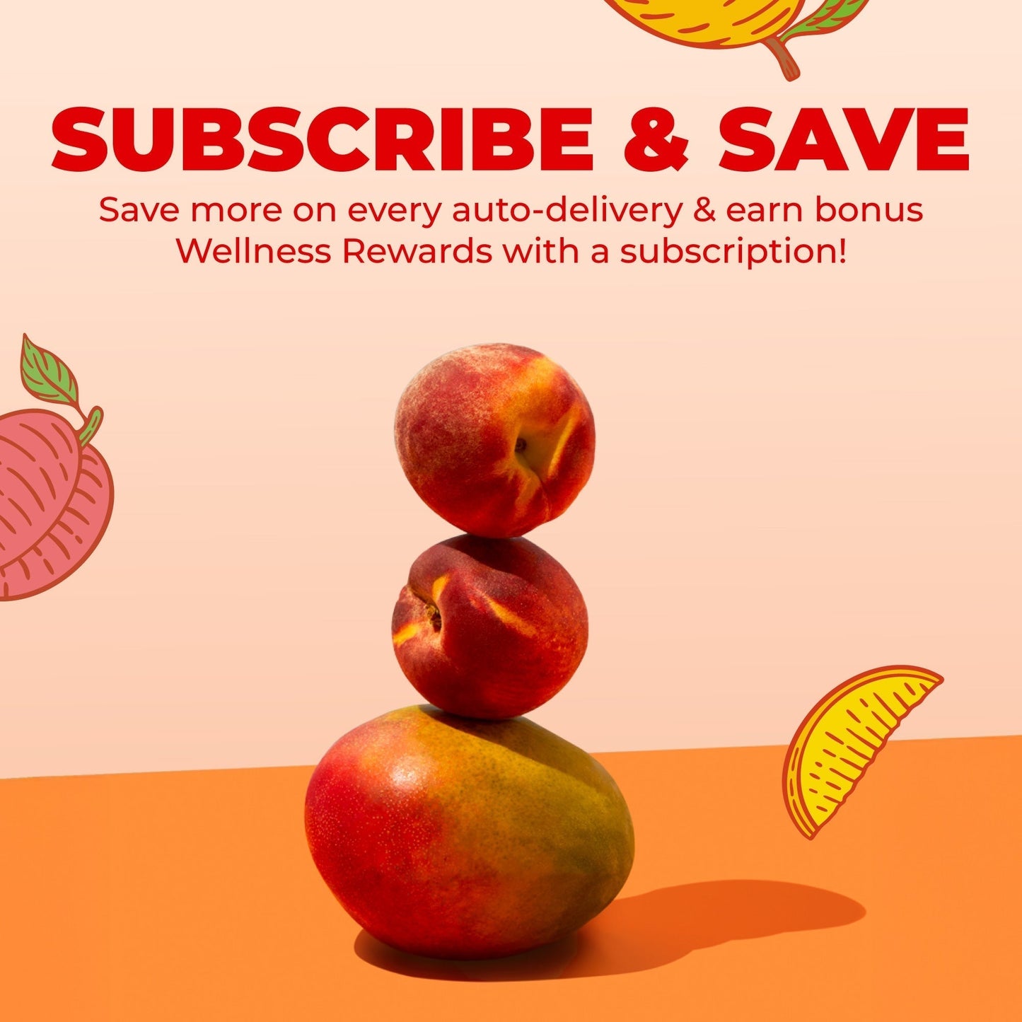 MARYRUTH'S Liquid Multivitamin+Hair Growth | Clinically Tested for Thicker Hair & Facial Wrinkles in Women | Biotin 10000mcg | Lustriva Hair Growth Supplement | Skin Care | Age 18+ | 30 Fl Oz